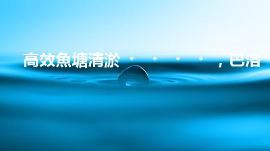 高效魚塘清淤，巴洛仕設(shè)備助力生態(tài)養(yǎng)殖
